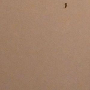 Meet your Posher, Alaina